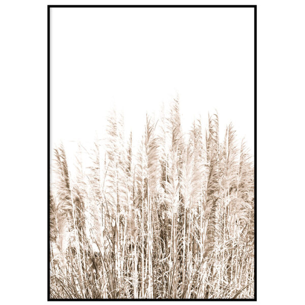 Coastal IV