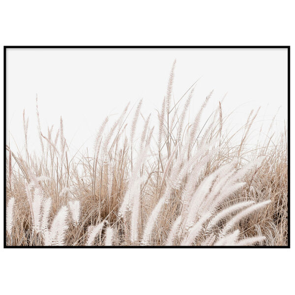 Wildflowers